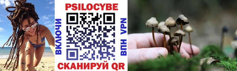 магазин продажи   Северо-Курильск  hydra сайт  Псилоцибиновые грибы Psilocybine cubensis 